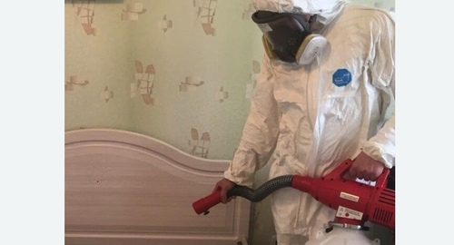 Уничтожение клещей в квартире. Краснокамск