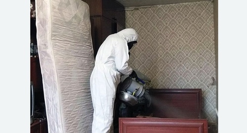 Дезинфекция от клопов дымом